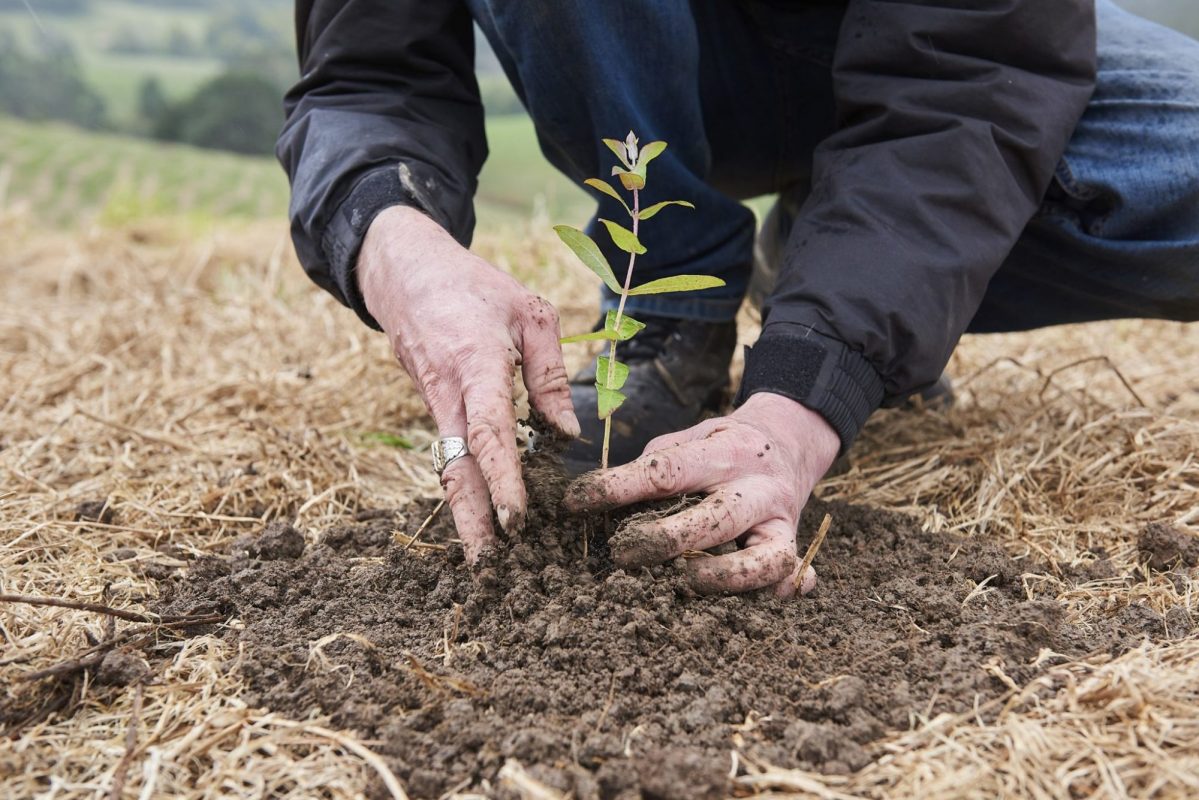 Accor raises aid for Australian bushfire relief effort