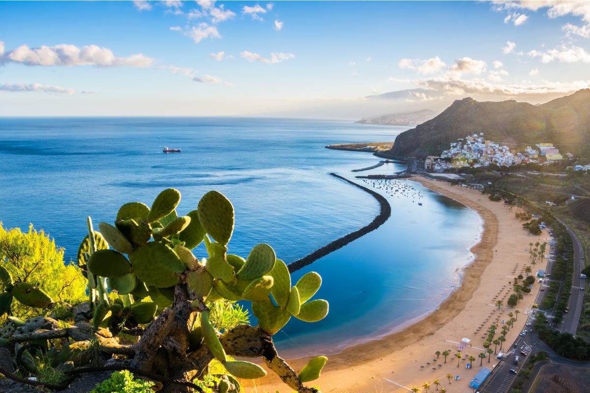 Canary Islands has been confirmed as the latest member of INSTO