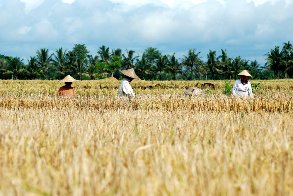 Due to lack of foreign tourists, some Bali hotels are closing for good