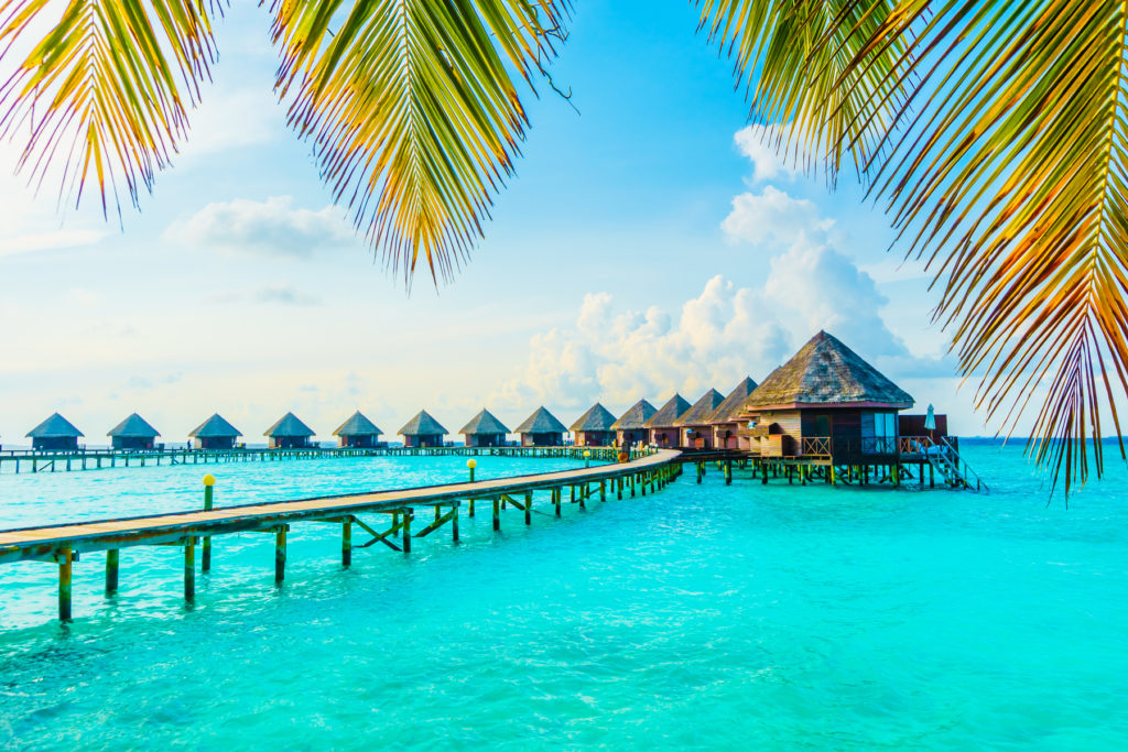 Maldives unveils new research for brand strategy for tourism development