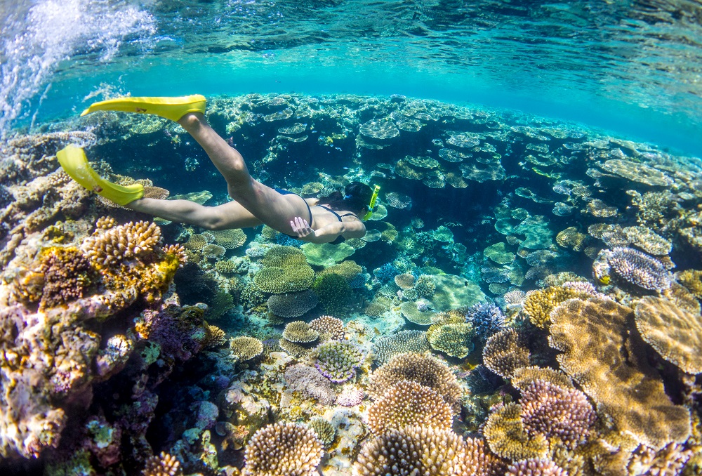 New domestic flights to Okinawa boost accessibility of sub-tropical paradise