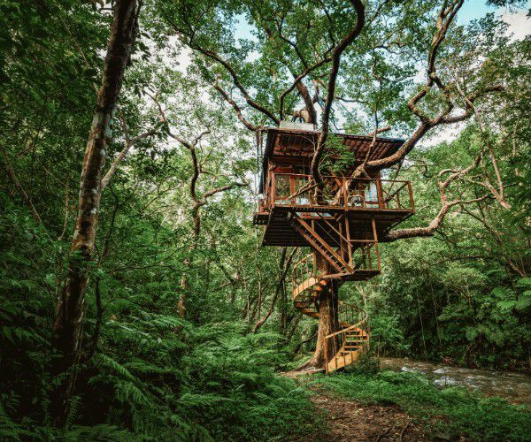 New luxury treehouse resort in Okinawa, Japan