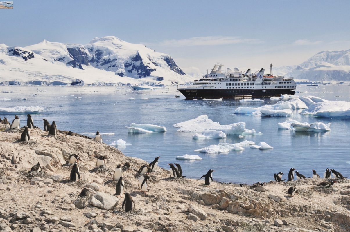 Small-ship expedition cruising recovery on track