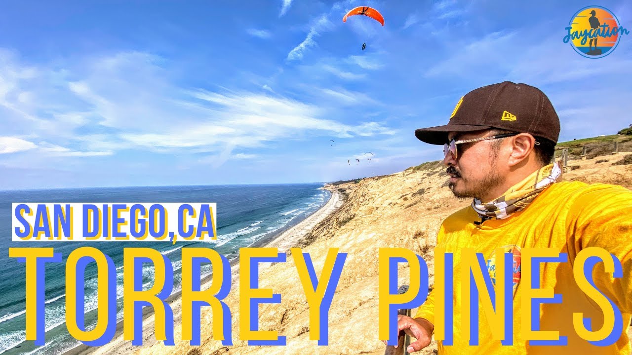 TOP THINGS TO DO IN TORREY PINES | San Diego Travel Guide