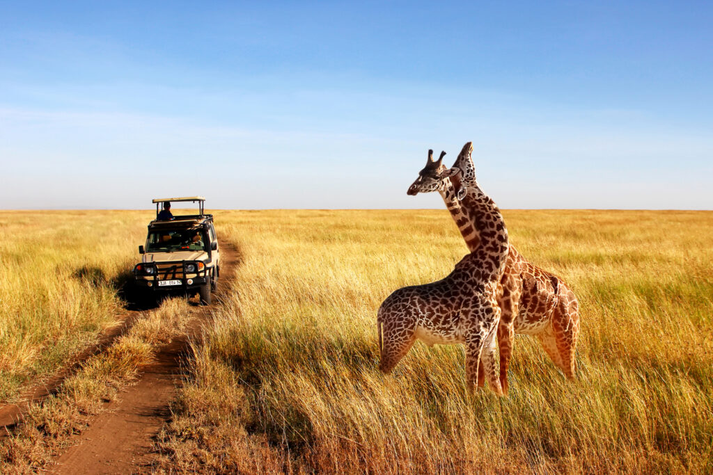 UNWTO supports digital innovation for Africa’s tourism attractions