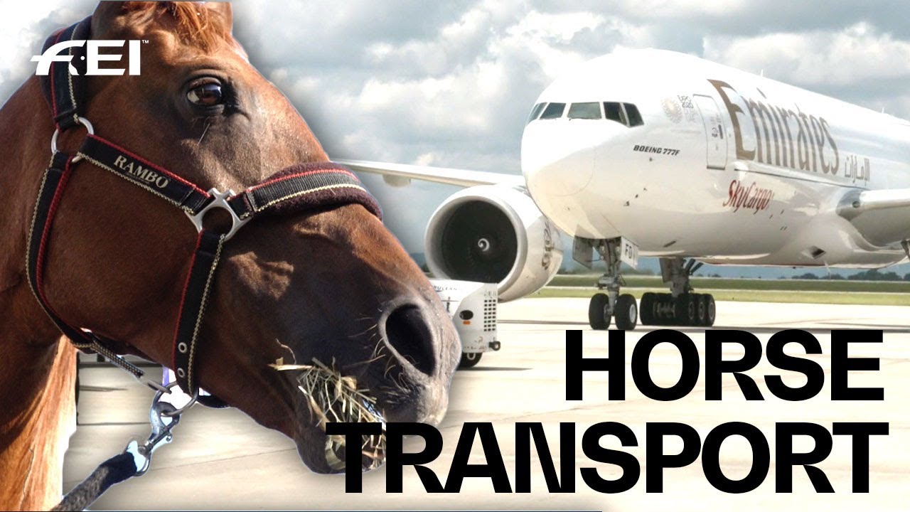 How the horses travel to the FEI World Equestrian Games™ | Tryon 2018