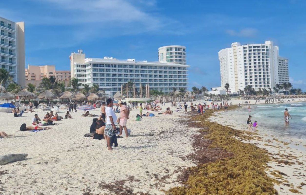 Seaweed Piles Up On Cancun Beaches - What Visitors Need To Know