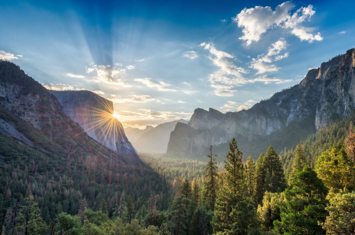 Top 7 Things To Do In Yosemite National Park