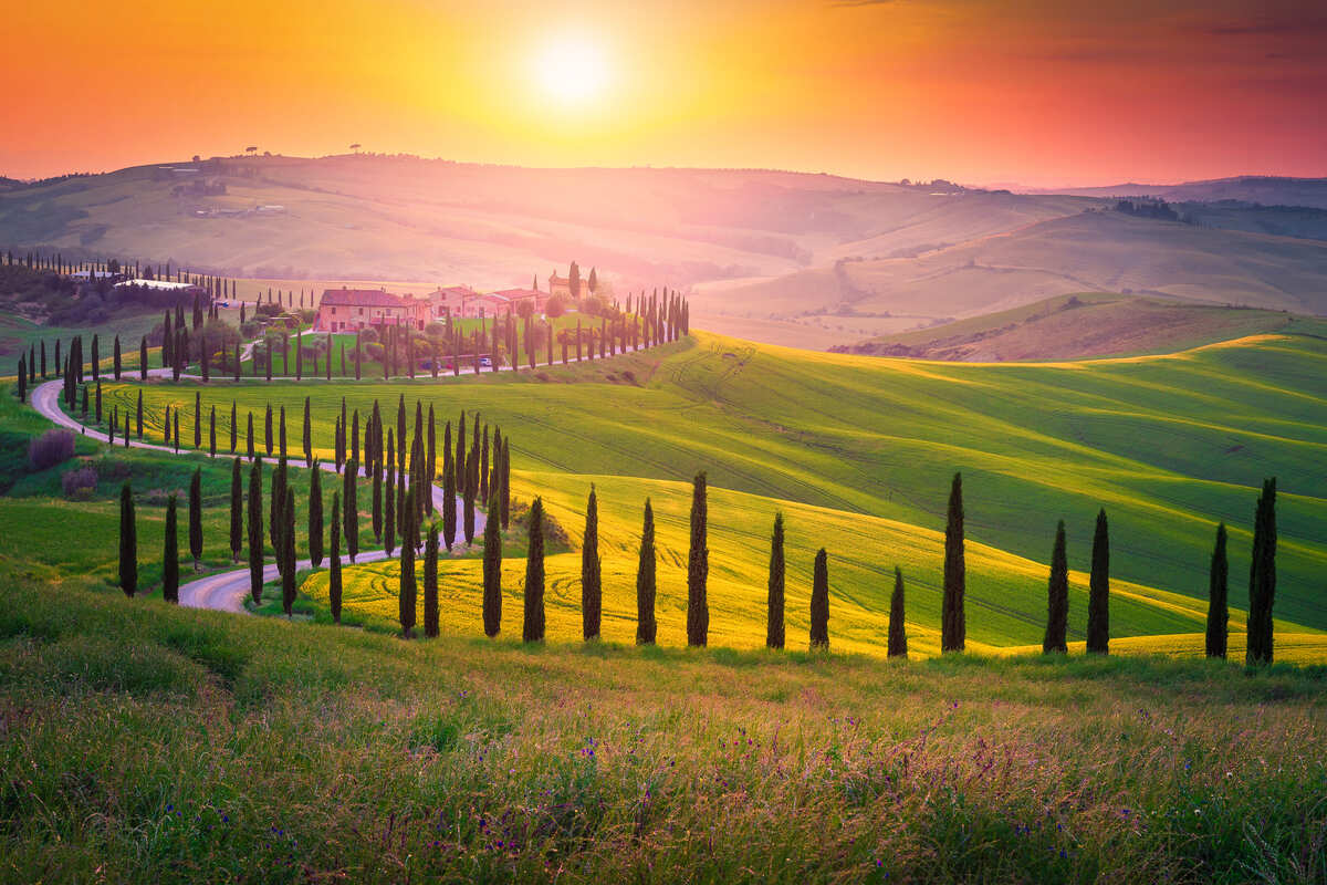 A Drive Lined By Cypress Trees In The Tuscan Countryside, Tuscany, Italy, Southern Europe